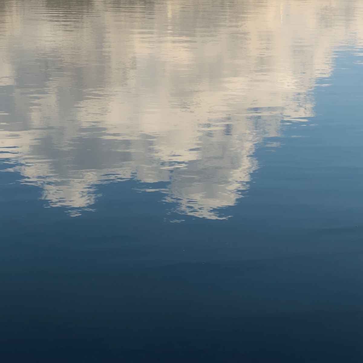 When Productivity Becomes Identity